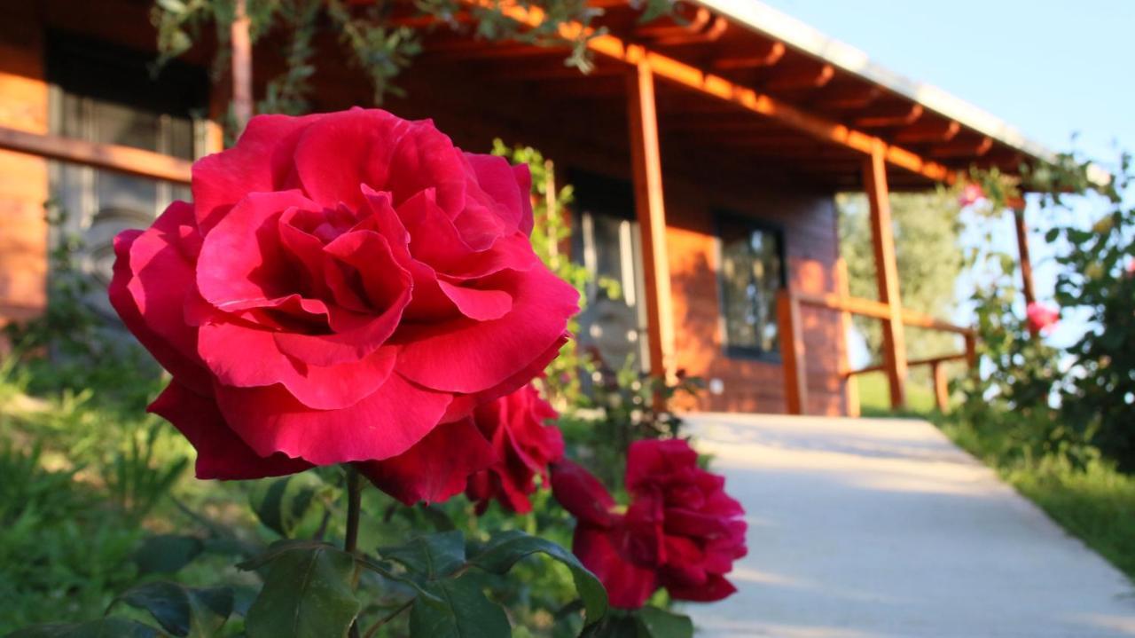 Camping Agroturizem Bylis *
