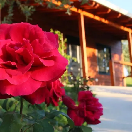 Hotel Agroturizem Bylis à Hekal Extérieur photo