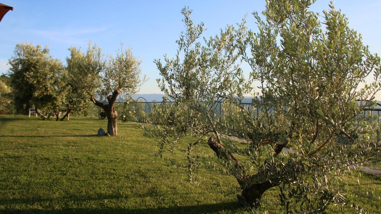 Agroturizem Bylis Camping