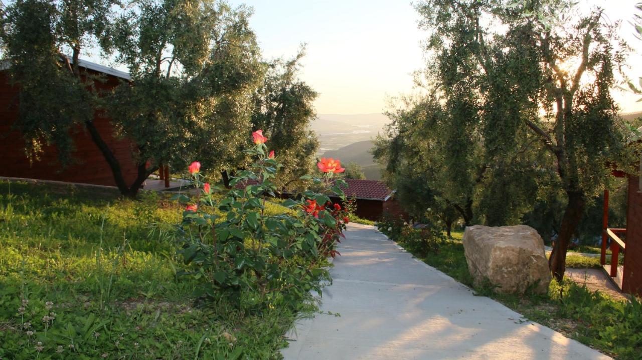Camping Agroturizem Bylis
