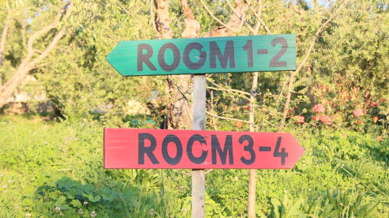 Agroturizem Bylis Camping