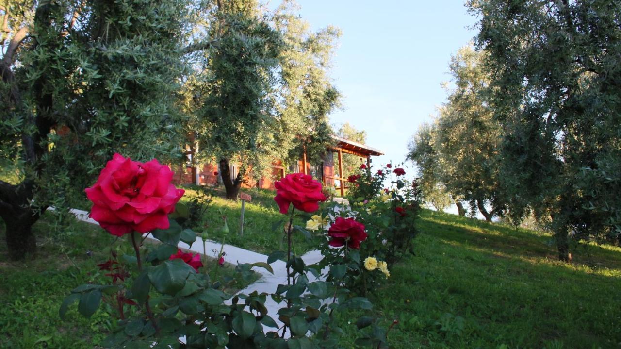 Camping Agroturizem Bylis