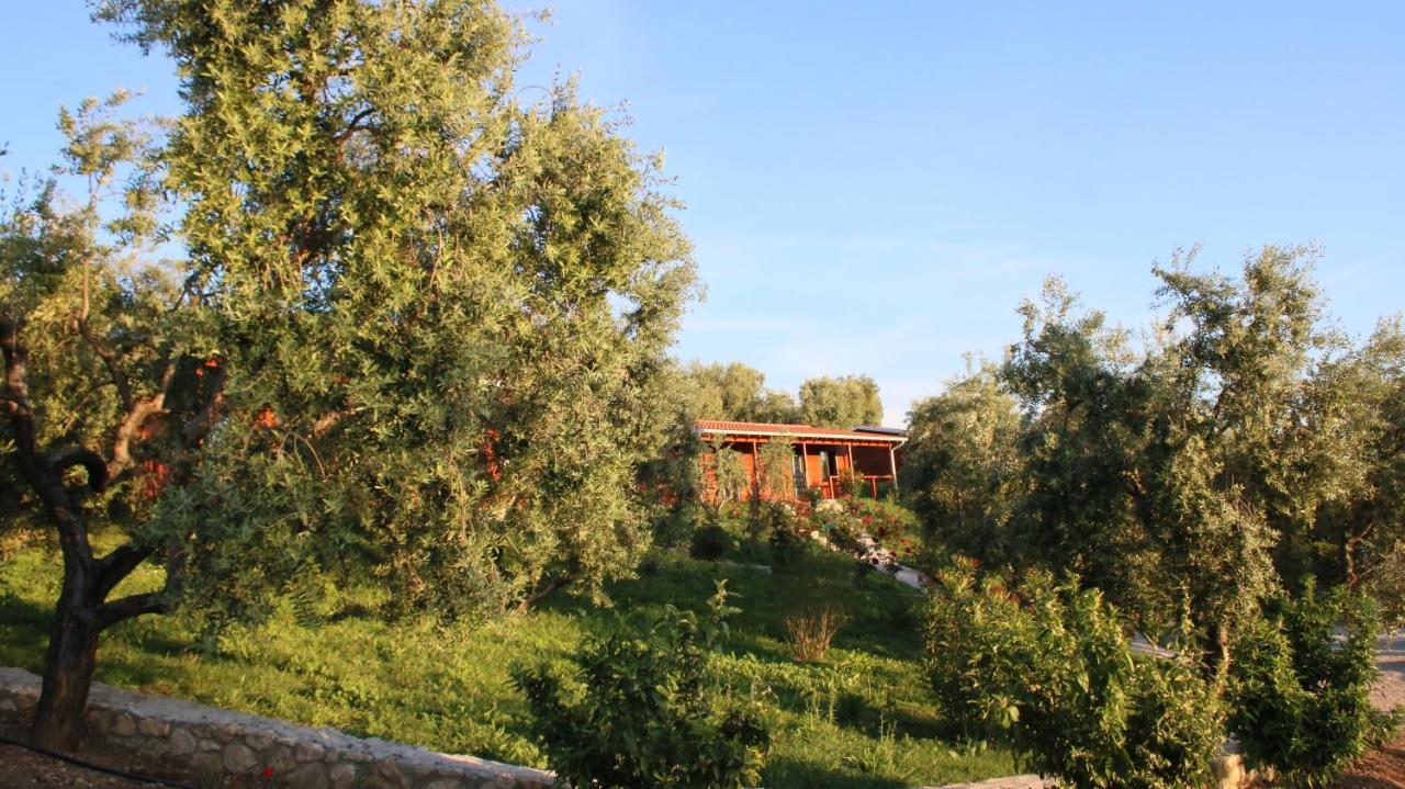 Agroturizem Bylis Camping Hekal