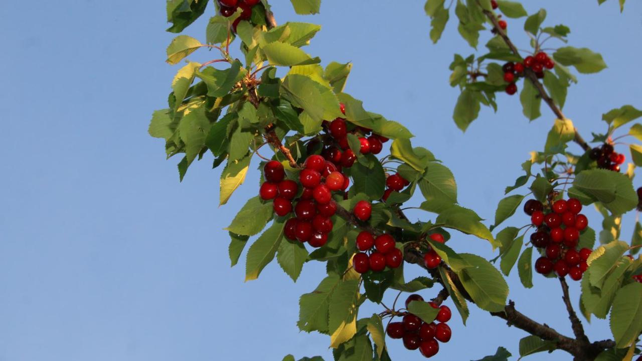 Agroturizem Bylis *