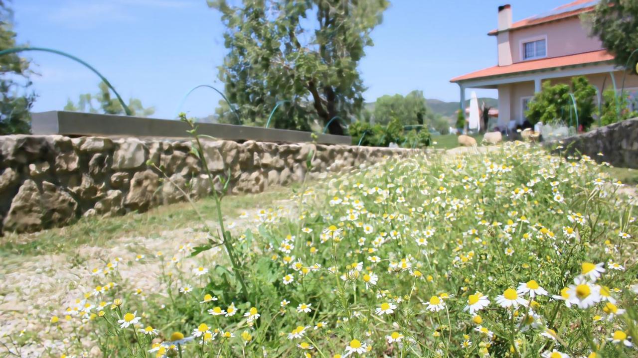Camping Agroturizem Bylis Hekal